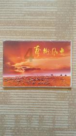 奔跑的兔子